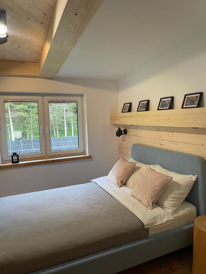 Harley Family Apartament - Sky ムシナ エクステリア 写真